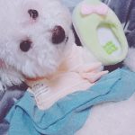 樋口 紗織